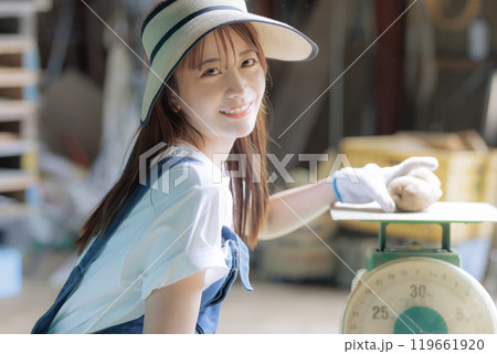 収穫した野菜の出荷準備をしている若い女性 収穫した野菜の出荷準備をしている若い女性 119661920
