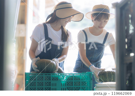 収穫した野菜の出荷準備をしている若い女性達 収穫した野菜の出荷準備をしている若い女性達 119662069