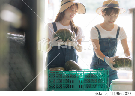 収穫した野菜の出荷準備をしている若い女性達 収穫した野菜の出荷準備をしている若い女性達 119662072