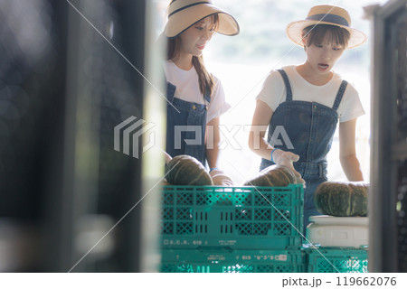 収穫した野菜の出荷準備をしている若い女性達 収穫した野菜の出荷準備をしている若い女性達 119662076