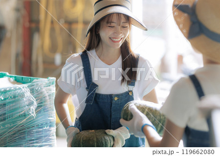収穫した野菜の出荷準備をしている若い女性達 119662080