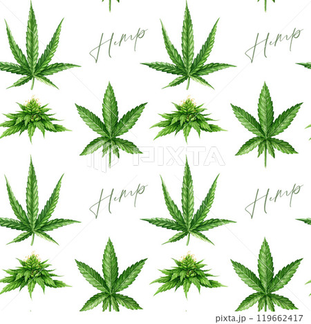 Cannabis sativa and indica herb leaves, flowers seamless pattern on white background. Hemp medicine plant watercolor illustration. Cannabis plant green leaf element seamless pattern design Cannabis sativa and indica herb leaves, flowers seamless pattern on white background. Hemp medicine plant watercolor illustration. Cannabis plant green leaf element seamless pattern design 119662417
