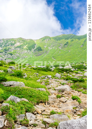 黒部五郎カールからつづら折り登山道を見上げる 北アルプスの黒部五郎岳の登山 黒部五郎カールからつづら折り登山道を見上げる 北アルプスの黒部五郎岳の登山 119662484