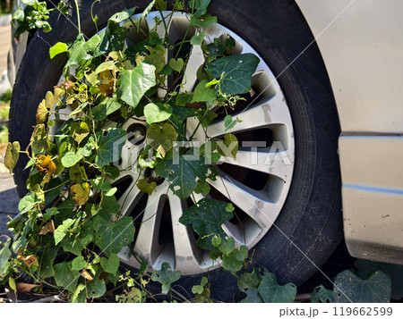 A silver car that has a broken tire and is covered with leaves 119662599