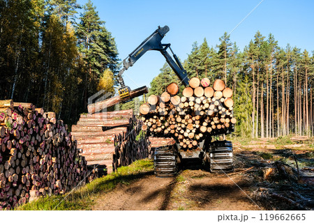 Forwarder tractor for wood transport. Tractor with trailer loaded with logs. Forestry tractor Forwarder tractor for wood transport. Tractor with trailer loaded with logs. Forestry tractor 119662665