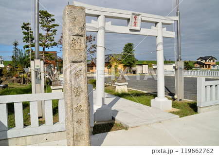 埼玉県行田市下中条　美しい治子神社 119662762