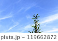 青空の風景写真 119662872