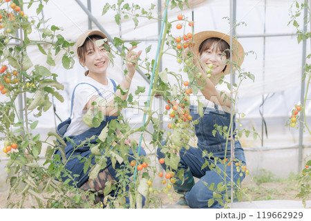 野菜を収穫している若い女性達 野菜を収穫している若い女性達 119662929
