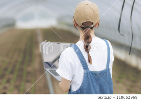 デジタルデバイスで農作物を管理している若い女性 デジタルデバイスで農作物を管理している若い女性 119662969