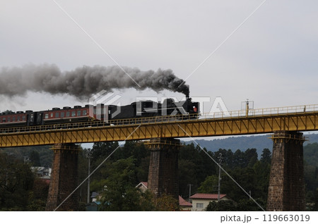 黒煙を上げて鉄橋を渡る磐越西線SLばんえつ物語 黒煙を上げて鉄橋を渡る磐越西線SLばんえつ物語 119663019