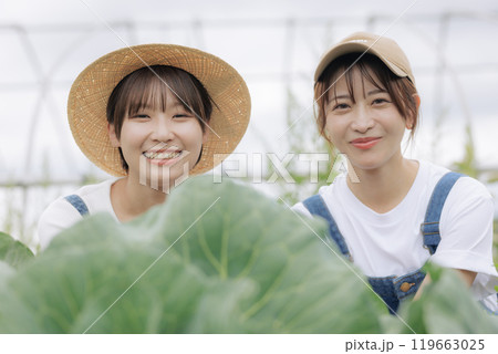 農作物の前に座る若い女性達 農作物の前に座る若い女性達 119663025