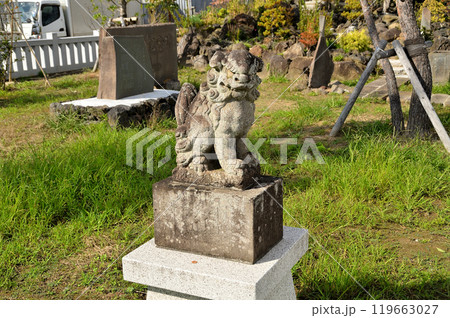 埼玉県行田市下中条　美しい治子神社 119663027