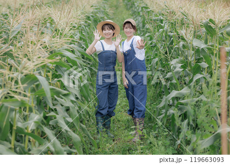 農園で佇む若い女性達 119663093