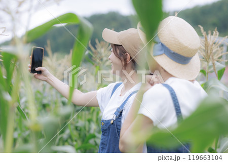 農園で記念写真を撮る若い女性達 農園で記念写真を撮る若い女性達 119663104