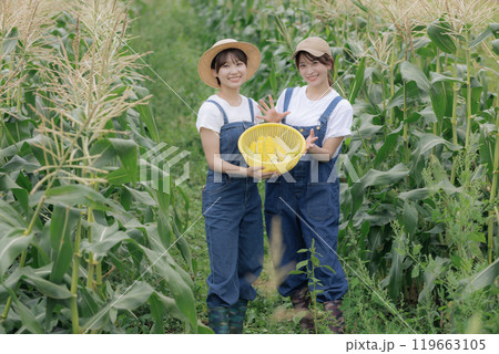 収穫した野菜と一緒に佇む若い女性達 収穫した野菜と一緒に佇む若い女性達 119663105