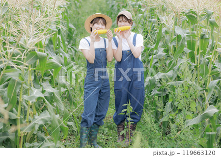収穫した野菜と一緒に佇む若い女性達 収穫した野菜と一緒に佇む若い女性達 119663120