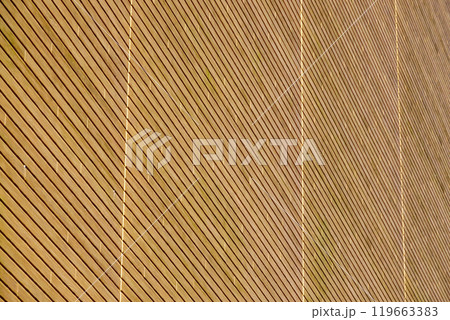 学校の壁 119663383