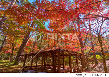秋の山梨県甲府市 昇仙峡の天鼓林(てんこりん)と東屋 119663401