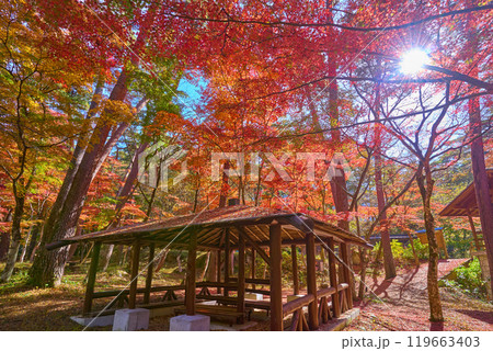 秋の山梨県甲府市 昇仙峡の天鼓林(てんこりん)と東屋 119663403