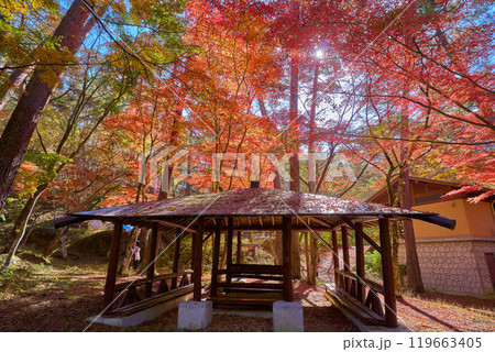 秋の山梨県甲府市 昇仙峡の天鼓林(てんこりん)と東屋 119663405