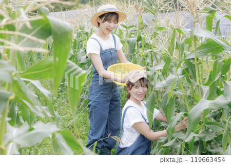 野菜を収穫している若い女性達 119663454