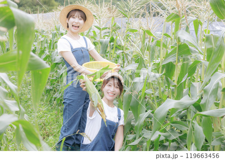 野菜を収穫している若い女性達 野菜を収穫している若い女性達 119663456