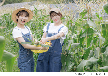 野菜を収穫している若い女性達 119663461
