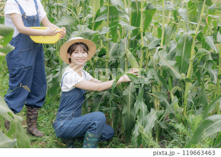 野菜を収穫している若い女性達 野菜を収穫している若い女性達 119663463