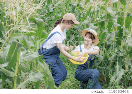 野菜を収穫している若い女性達 119663468