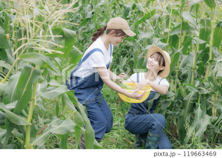 野菜を収穫している若い女性達 野菜を収穫している若い女性達 119663469