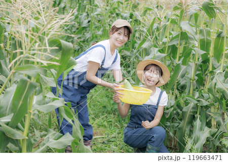 野菜を収穫している若い女性達 野菜を収穫している若い女性達 119663471