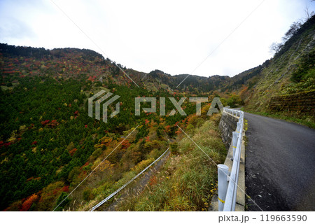 紅葉に包まれた道路 紅葉に包まれた道路 119663590
