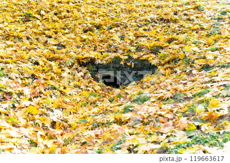 travel beautiful stone landscape outdoor view nature cave green forest park tourism architecture travel beautiful stone landscape outdoor view nature cave green forest park tourism architecture 119663617