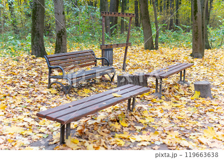 surface park white wooden outdoor nature tree landscape green forest background wood bench tennis surface park white wooden outdoor nature tree landscape green forest background wood bench tennis 119663638