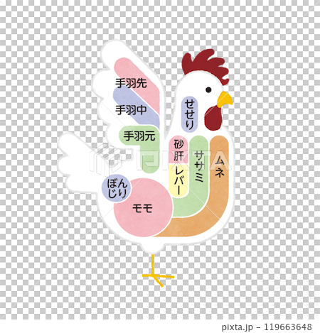 Illustrations of chicken parts 119663648