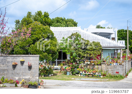 沖縄本島 沖縄本島 119663787