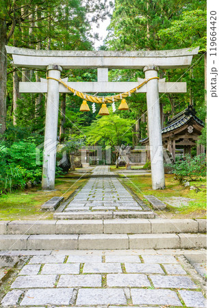 雄山神社　芦峅中宮（霊峰立山の山岳信仰）　鳥居　（富山県中新川郡立山町） 119664420