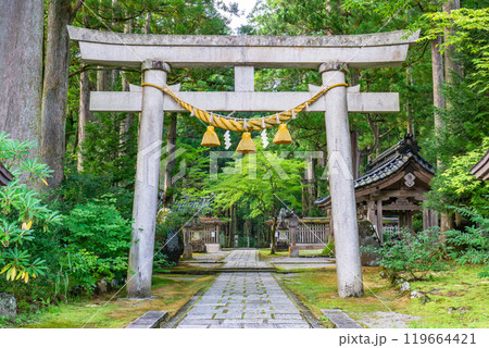 雄山神社　芦峅中宮（霊峰立山の山岳信仰）　鳥居　（富山県中新川郡立山町） 119664421