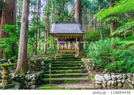 雄山神社 芦峅中宮(霊峰立山の山岳信仰) 立山大宮(西本殿) (富山県中新川郡立山町) 雄山神社 芦峅中宮(霊峰立山の山岳信仰) 立山大宮(西本殿) (富山県中新川郡立山町) 119664436