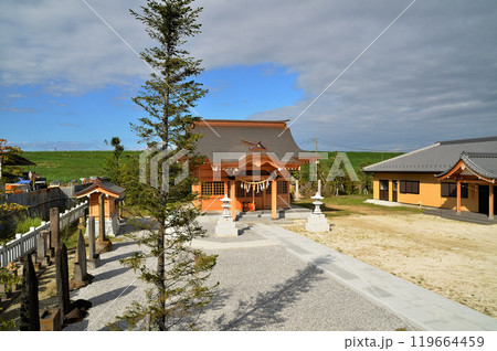 埼玉県行田市下中条　美しい治子神社 119664459