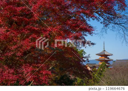 京都　清水寺の三重塔と紅葉 119664676