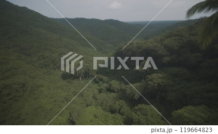 Amazon forest top view beautiful landscape 119664823