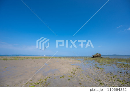 沖縄本島 119664882