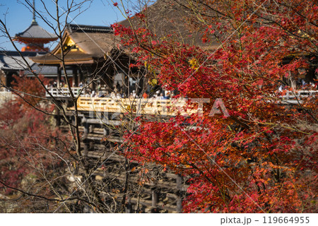 京都 清水寺の舞台と紅葉 京都 清水寺の舞台と紅葉 119664955