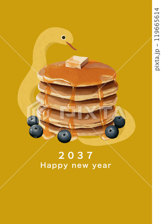 2037年　巳年　年賀状テンプレート 119665614