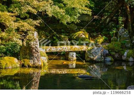 【京都風景】蓮華寺 洛北の静かな池泉式鑑賞庭園 【京都風景】蓮華寺 洛北の静かな池泉式鑑賞庭園 119666258
