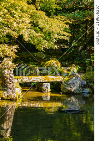 【京都風景】蓮華寺　洛北の静かな池泉式鑑賞庭園 119666267