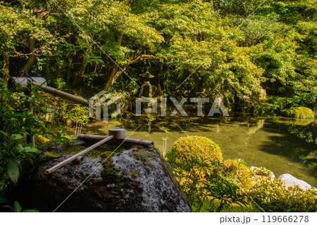 【京都風景】蓮華寺　洛北の静かな池泉式鑑賞庭園 119666278