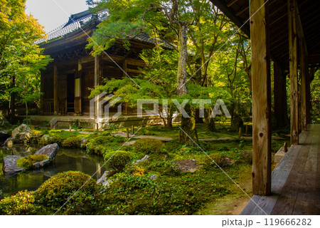 【京都風景】蓮華寺　洛北の静かな池泉式鑑賞庭園 119666282