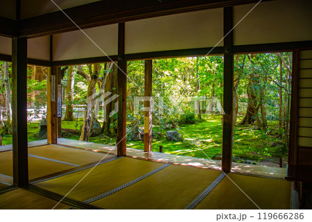 【京都風景】蓮華寺　洛北の静かな池泉式鑑賞庭園 119666286